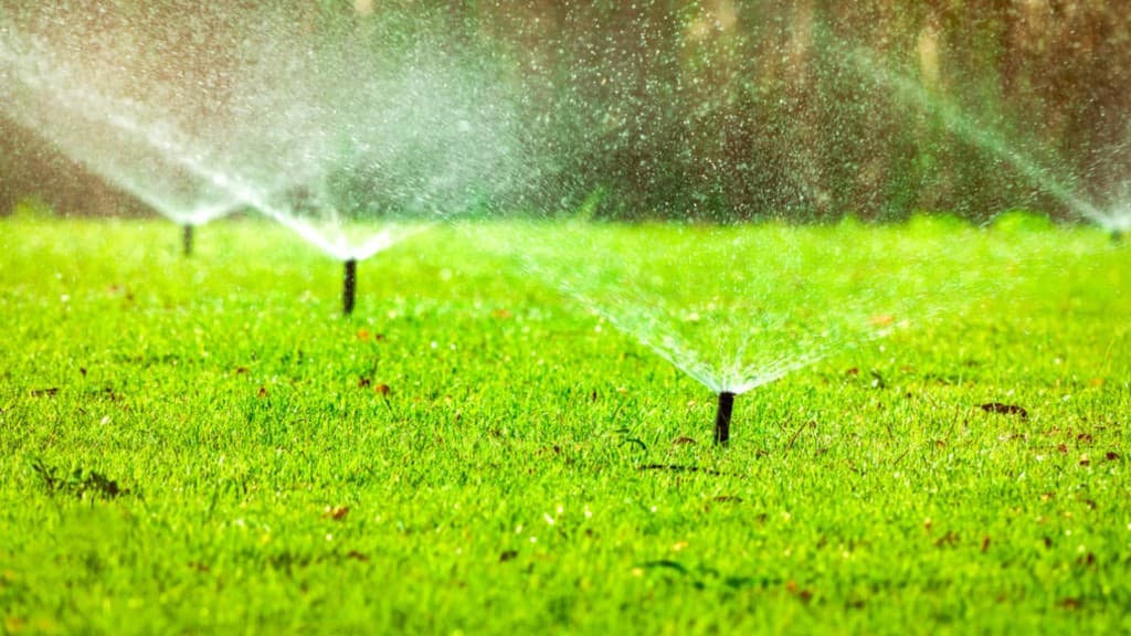 Professional landscaping and irrigation services